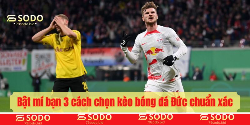 Bật mí bạn 3 cách chọn kèo bóng đá Đức chuẩn xác