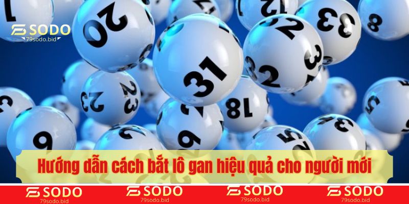 Hướng dẫn cách bắt lô gan hiệu quả cho người mới
